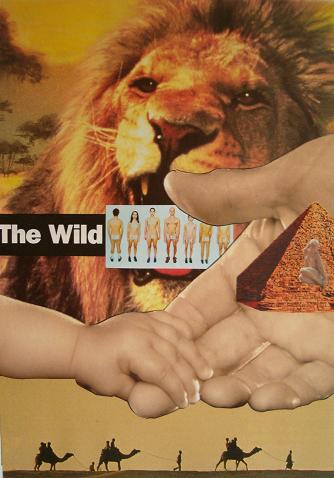 "The Wild"